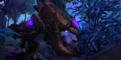 Feral Druid DPS Spell List and Glossary